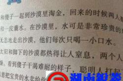 真正聪明的“傻子”，傻的是外表，聪明的是内心。