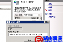 IIS 无法下载apk文件，添加apk扩展(MIME)的方法