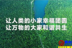 创建和谐共生的社区环境