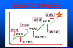 企业常见的问题梳理