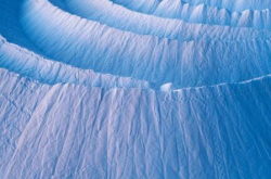 能扛事的人具备的能力