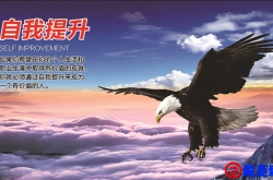 指望他人，不如提升自己 ( 学会给自己撑伞 )