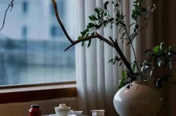 懂得放弃，是最高级的智慧。