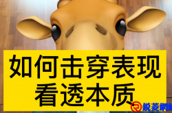 看透本质，如何思考