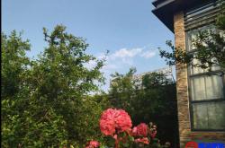 OTA和顾客服务经验