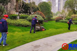 绿化养护措施方案