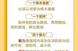 一图了解党内政治生活